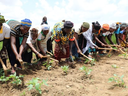 Mujeres agricultoras en Burkina Faso en octubre de 2019.