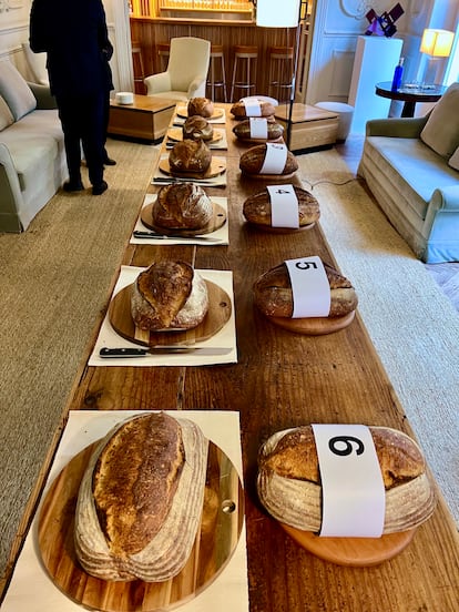 Las hogazas finalistas en la mesa de cata.
