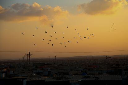 Atardecer en el campamento de Zaatari en Jordania, donde viven 80.000 refugiados sirios.