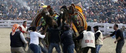 Un combate el pasado 19 de enero en el festival de Selcuk.