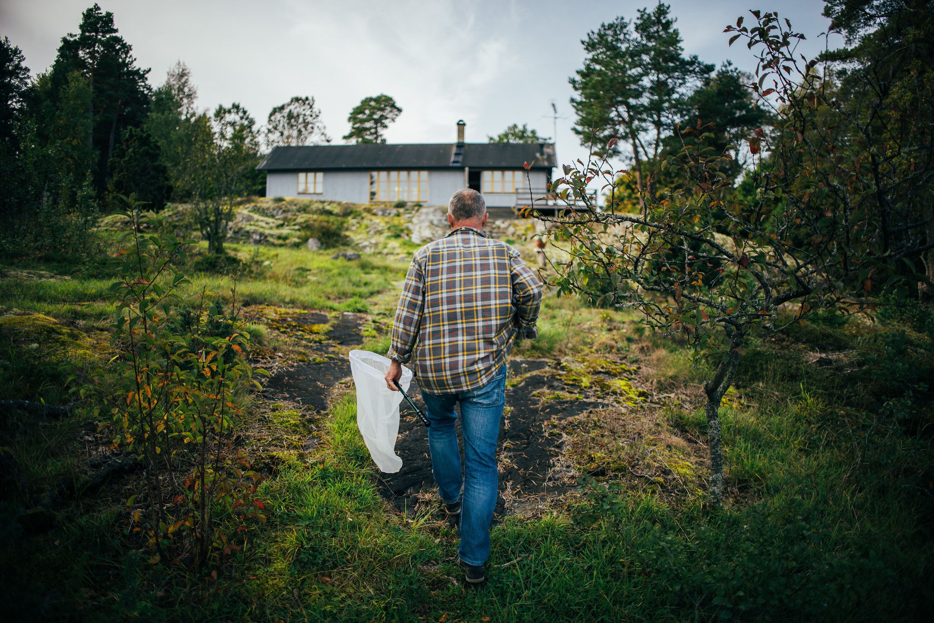 Fredrik Sjöberg camina por el jardín de su casa, donde capturó buena parte de las moscas de su colección.