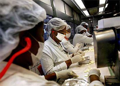 Elaboración de fármacos genéricos en un laboratorio de Port Elizabeth (Suráfrica).