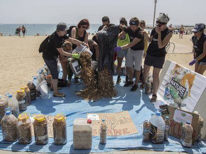 Los activistas después de recoger miles de colillas en la Barceloneta