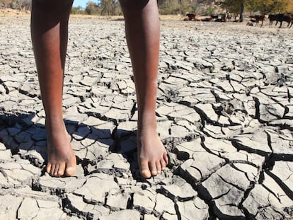 El aumento de las temperaturas medias puede traducirse para la infancia en un incremento de enfermedades transmitidas por vectores, como malaria o diarrea.
