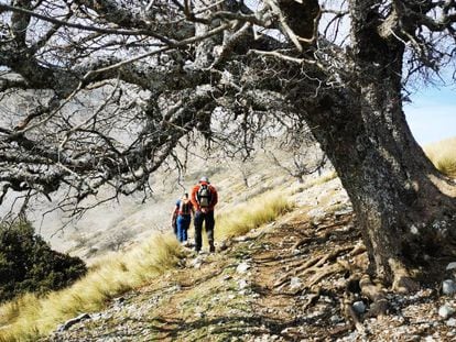 Senderismo en una ruta de 20 kilómetros y 1.200 metros de desnivel por sierra Mágina (Jaen).  