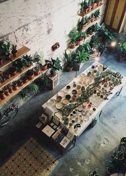 Área de las plantas en Espai Joliu, en Barcelona. Este espacio es galería de arte, tienda de plantas y cafetería, todo en uno.
