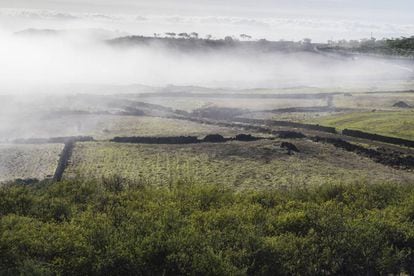 La niebla envuelve el paisaje de Nisdafe en los altos de Valverde, al norte de la isla de El Hierro.