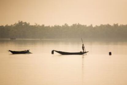 Embarcaciones tradicionales en el parque nacional de Sunderbans (India), patrimonio mundial.