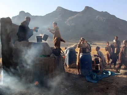 Procesamiento de uvas para convertirlas en pasas en Kandahar (Afganistán), este lunes.