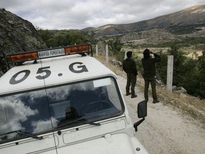 Patrulla de agentes forestales de la Comunidad en Bustarviejo.