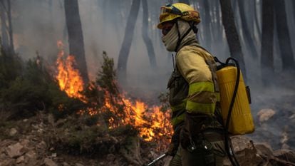 Un bombero lucha contra el fuego el jueves en la sierra de la Culebra (Zamora).