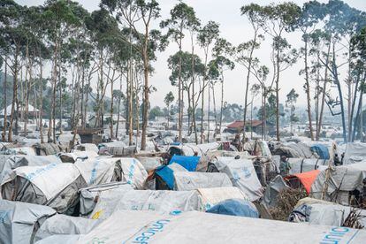 The Bulengo camp is located about 10 kilometers from the city of Goma, in the east of the Democratic Republic of the Congo, and some 180,000 people who have fled the fighting in the North Kivu region live in very precarious conditions. where the presence of the M23 rebel group increases.