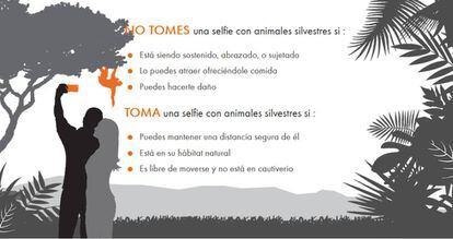 Guía de buenas prácticas para hacerse 'selfies' con animales salvajes.