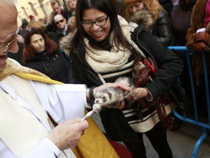 El padre Ángel bendice un hurón, en la calle Hortaleza.