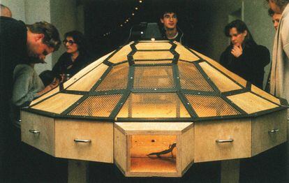 'Theatre of the world', instalación con insectos y reptiles