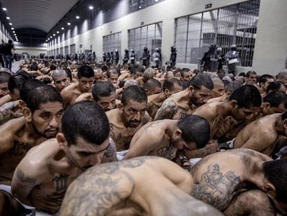Traslado de presos al Centro de Confinamiento del Terrorismo (CECOT), el miércoles en Tecoluca (El Salvador).