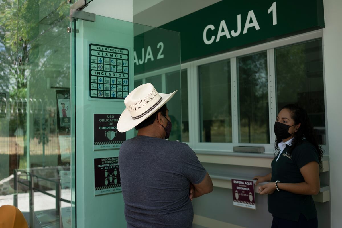 Banco Base advierte que apoyos gubernamentales y remesas están “inflando” la economía mexicana |  Economía