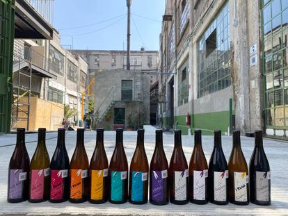 Natural wines (pét-nat) from the Loofok winery, Colonia Doctores, Mexico City.