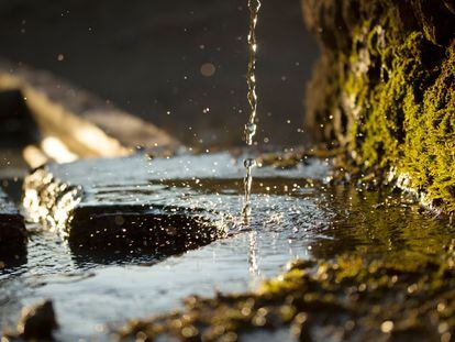 Estas aguas desempeñan una función vital en los sistemas hídricos y de saneamiento, agricultura, industria, ecosistemas naturales y estrategias de adaptación al cambio climático.