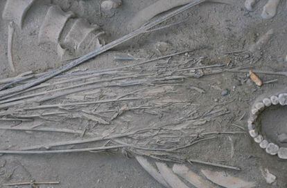Investigadores chinos hallaron en una tumba del antiguo oasis caravanero de Turfán tallos de marihuana usados casi como un sudario. Con unos 2.500 años de antigüedad, ha permitido comparar su composición con la los restos encontrados en los braseros.