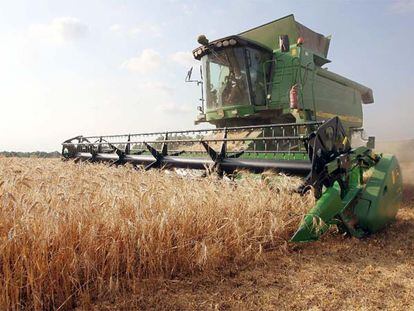 Una cosechadora en plena faena de recogida del cereal.