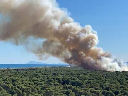 Una imagen del incendio El Saler compartida en la cuenta de X de la AA VV Dehesa El Saler.