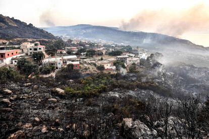 Columnas de humo procedentes de incendios forestales en la ciudad de Melloula (Túnez) cerca de la frontera con Argelia.