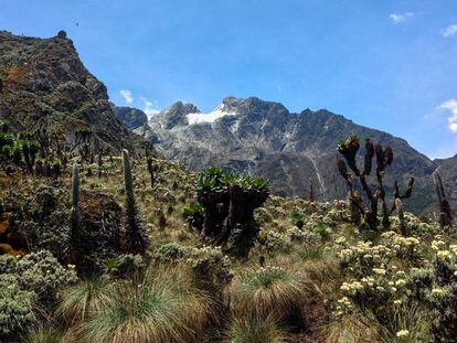 Pico Stanley, la cima de la cordillera Ruwenzori, en África