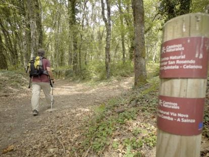 Un senderista en el Camino Natural de San Rosendo, en Ourense, a su paso por las ruinas romamans de Aquis Querquenis.