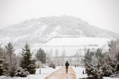 Un hombre paseaba el jueves por un parque de Vitoria cubierto por la nieve.