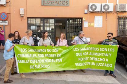 La portavoz de Vox en el Ayuntamiento de Lorca, Carmen Menduiña, en el centro, junto a afiliados ultras, esta mañana ante el juzgado de Lorca.