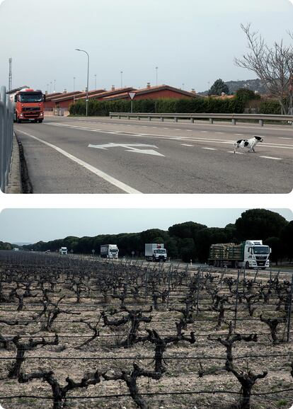 Los camiones son parte del paisaje de la N-122.