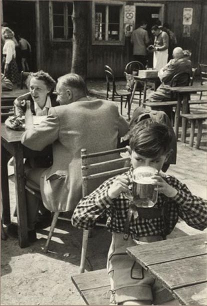 Wienerwald, Austria, 1954.