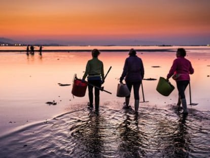 Playa de Raposi&ntilde;os al amanecer. Las mariscadoras de A Pobra comienzan a faenar. 