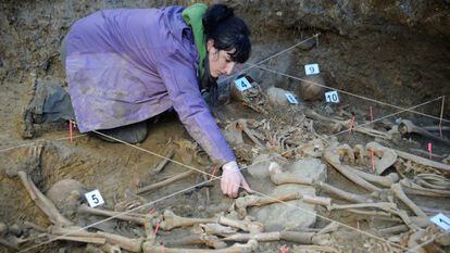 Trabajos de exhumación de restos de una fosa de la Guerra Civil en Zigoitia (Álava).
