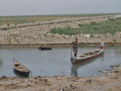 Un iraqu&iacute; cruza una marisma en el sur de Irak.