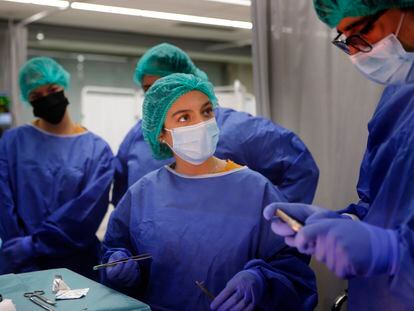 Varios alumnos asisten a una clase práctica de medicina en una universidad.