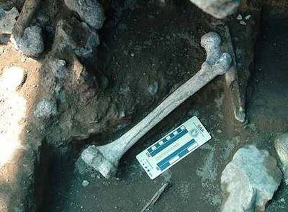 Fémur de 1,77 millones de años.