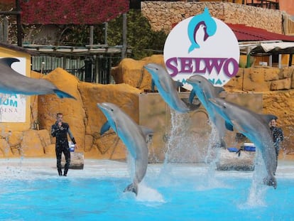 Imagen del parque Selwo, operado por Parques Reunidos. 