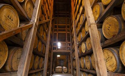 Barriles de roble en la destilería Labrot & Graham Woodford Reserve, en Kentucky.