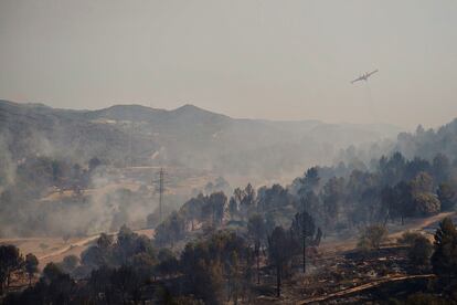 Las llamas, que eran visibles desde la C-16, entre Castellbell i el Vilar i Sant Fuitós de Bages, cerca de campos de cultivo y a decenas de metros del asfalto han obligado a volver a cerrar la carretera, que había sido reabierta esta mañana.