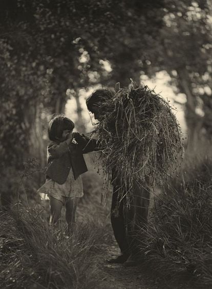'En el bosque', imagen de Antoni Arissa.