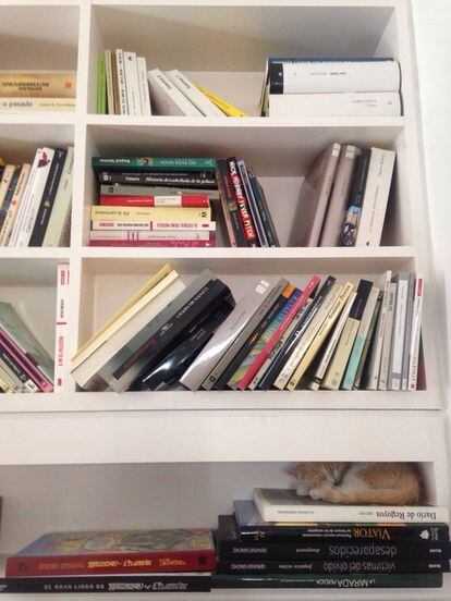 Mía prefiere dormir entre libros.