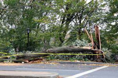 Una vía es afectada por árboles caídos, producto de los fuertes vientos en el Alto Manhattan, Nueva York (EE.UU.).