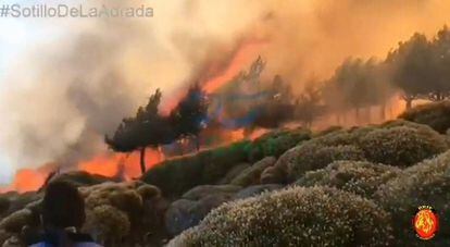 Captura de un vídeo de las Brigadas de Refuerzo de Incendios Forestales (BRIF), del incendio declarado este sábado en Sotillo de la Adrada.