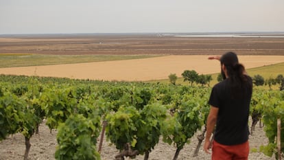 Pepe Núñez Cabral, presidente de la asociación ecologista Río Limpio, frente a la zona de Trebujena dónde se prevé la construcción de la macrourbanización. Al fondo el río Guadalquivir y Doñana.