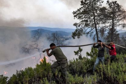 Los bomberos intentan extinguir un voraz incendio forestal cerca de la ciudad de Melloula, en el noroeste de Túnez, cerca de la frontera con Argelia, el 24 de julio de 2023.