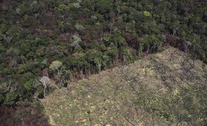 Una zona deforestada para el cultivo agrícola, en la Amazonia.