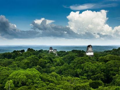 Panorámica del yacimiento arquelógico maya de Tikal, en la selva de Guatemala.