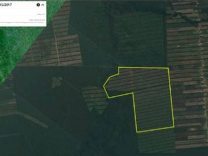 Imagen de satélite de abril de 2017 en la que se muestra el avance de la deforestación en plantaciones cerca de San José (Bolivia).